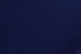 多样性与包容性报告发布